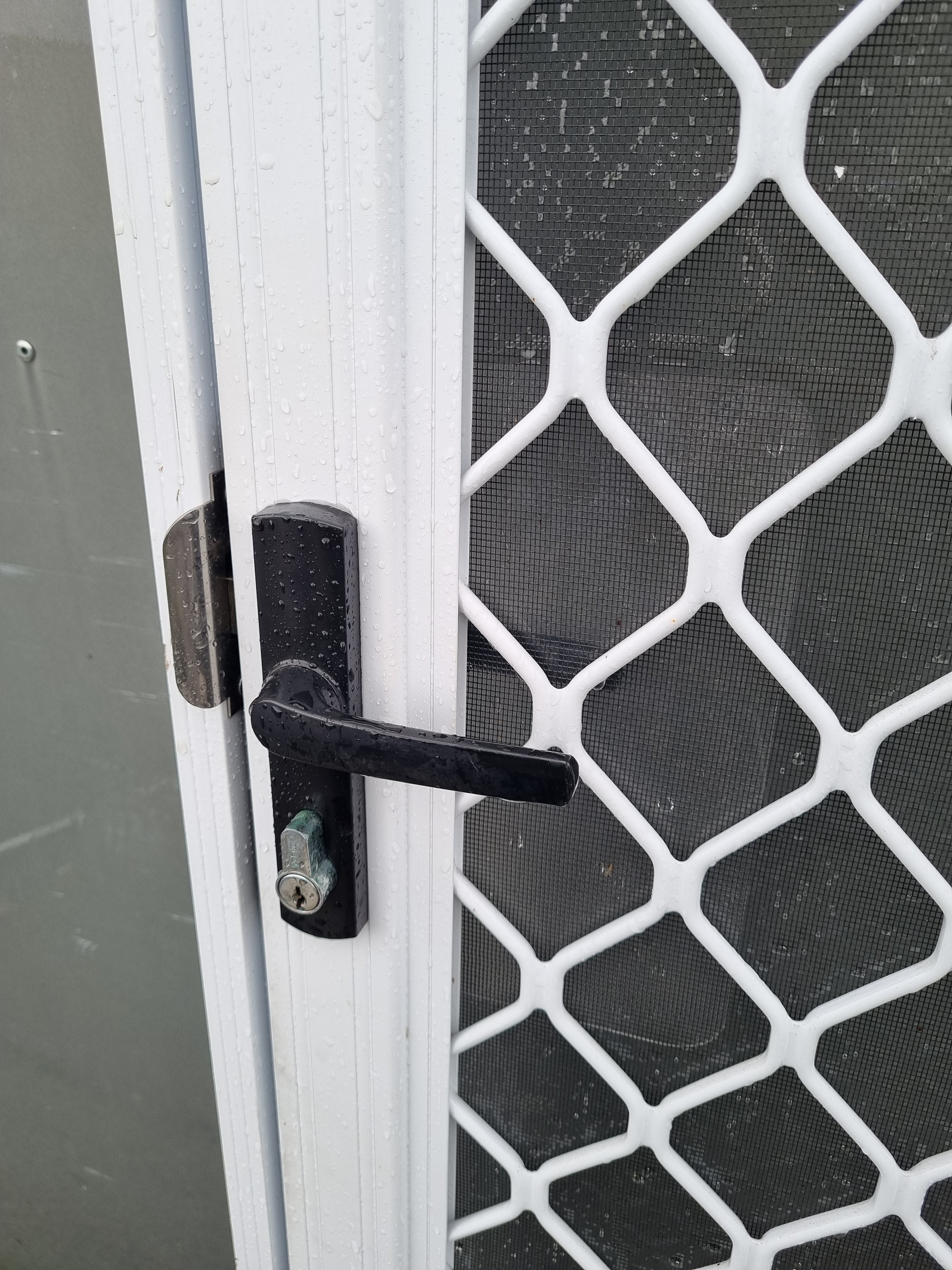 SECURITY SCREEN Door  960 W x 1960 H [#4627 SF] Joinery Recycle