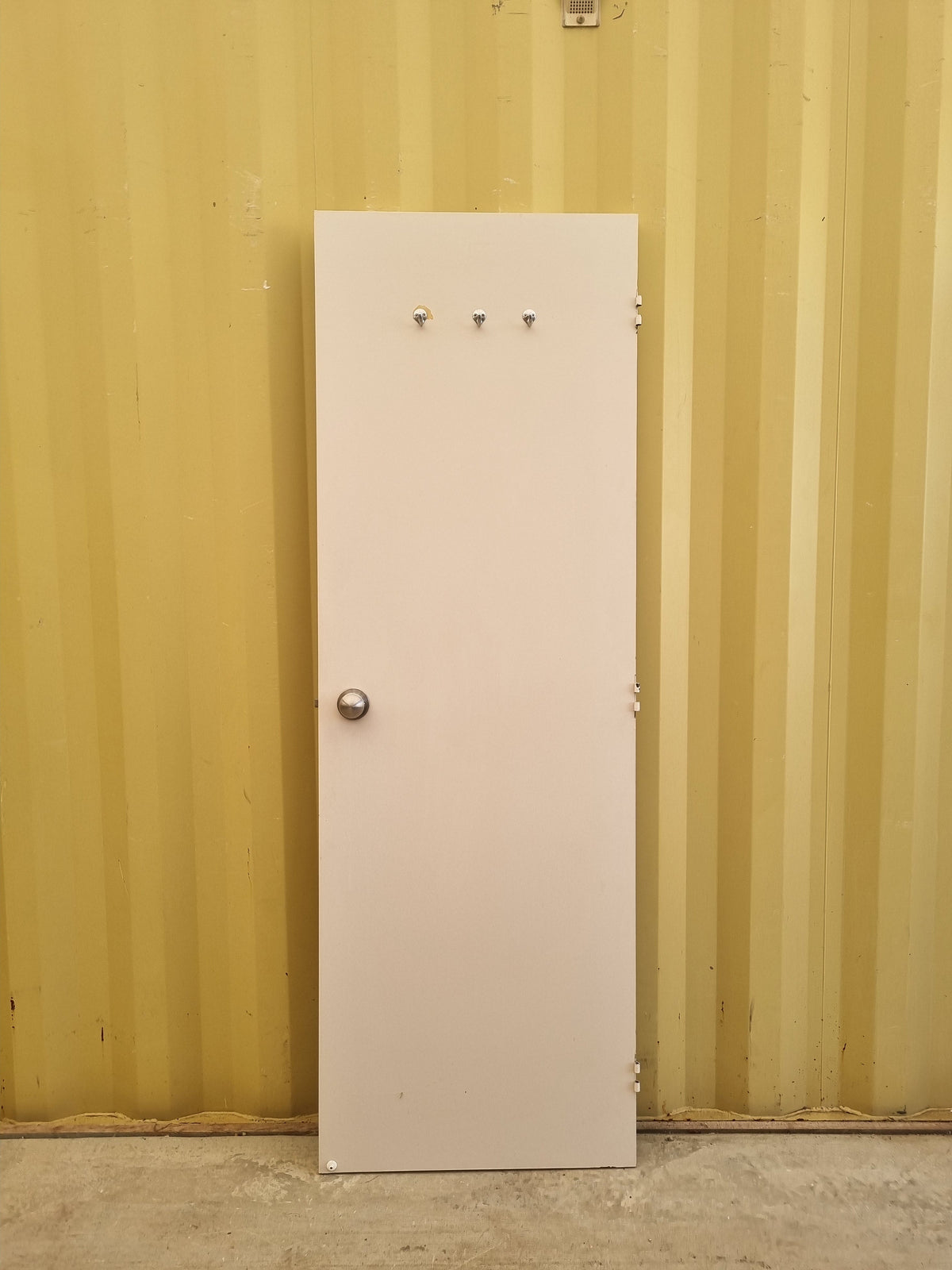 Internal Hollow Core Door   660 W  x  1975 H  [#5159] Joinery Recycle